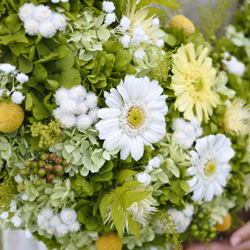 ガーベラとフレッシュグリーンの三日月リース50㎝グランデサイズ