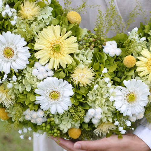 ガーベラのグリーンリース　プリザーブドフラワー ガーベラとフレッシュグリーンの三日月リース50㎝グランデサイズ