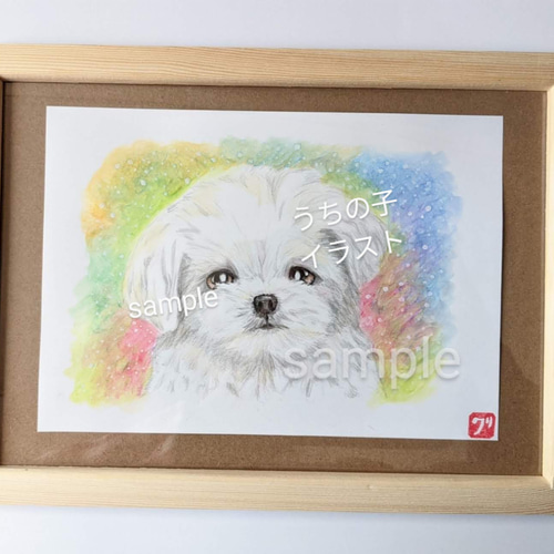ペット似顔絵 犬似顔絵 マルチーズイラスト (愛犬オーダー うち ペット似顔絵 犬似顔絵 マルチーズイラスト (愛犬オーダー うち