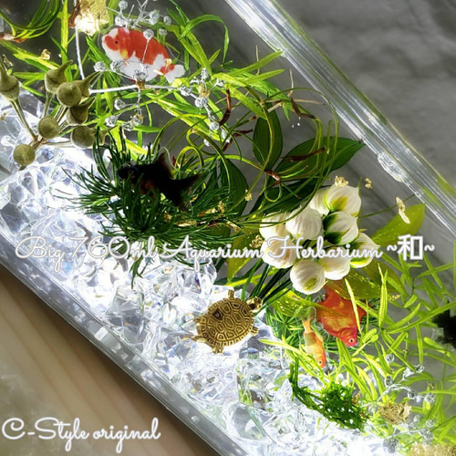 レア出品 限定 涼しい夏の水槽 横置きBig ～和～Gold fish ハー 
