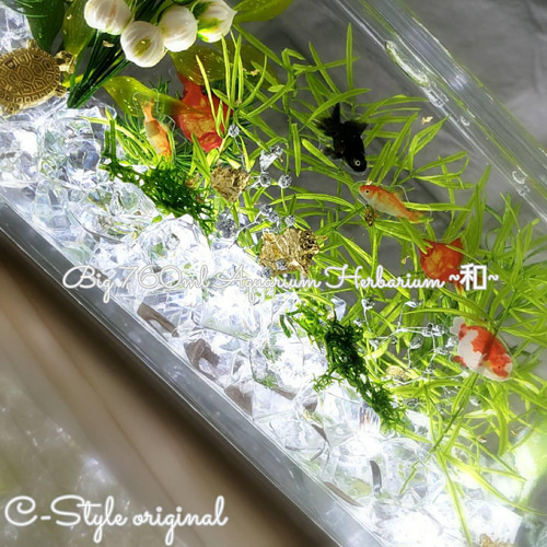 レア出品 限定 涼しい夏の水槽 横置きBig ～和～Gold fish ハー