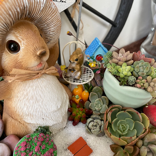受注制作 きのこ帽子のうさぎさん箱庭風多肉植物寄せ植え 多肉植物