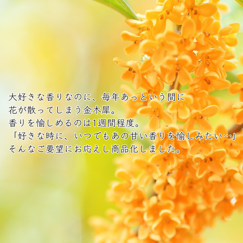 送料無料〉金木犀のスプレー 30ml入り～国産キンモクセイ抽出エキス