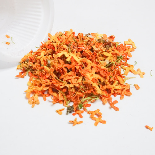 封入用 金木犀 2025 ドライフラワー キンモクセイ その他素材