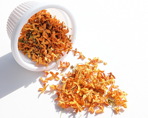 56c3ed799d8272e5c395c26fac8e55