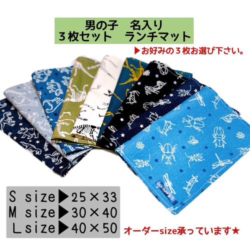 ランチマット 3枚 【ランチョンマット】名入れ 女の子 幼稚園・保育園