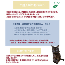 姫の手袋２枚セット【完成品＆オーダー】猫用前足防護アームカバー　猫皮膚炎　猫舐め壊し 3枚目の画像