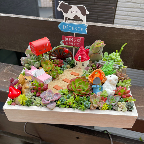 受注制作 うさぎりす箱庭風多肉植物寄せ植え 多肉植物 まぁちゃん 通販