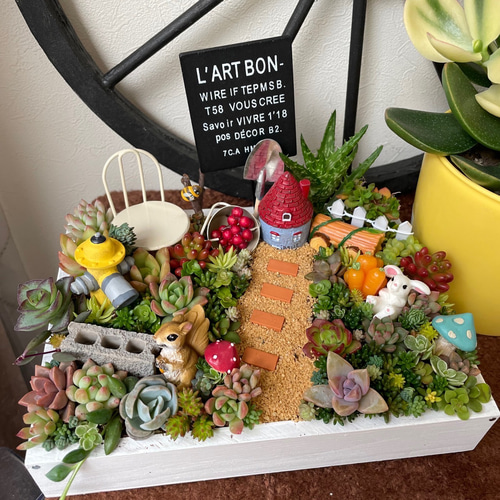 多肉寄せ植え✿箱庭✿うさぎ 受注制作 うさぎりす箱庭風多肉植物寄せ植え 多肉植物 まぁ