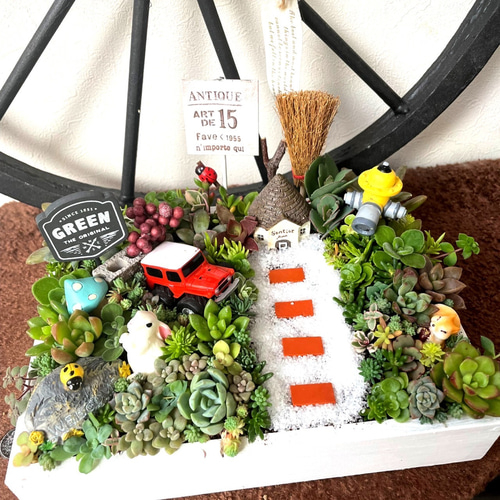 受注制作 うさぎりす箱庭風多肉植物寄せ植え 多肉植物 まぁちゃん 通販