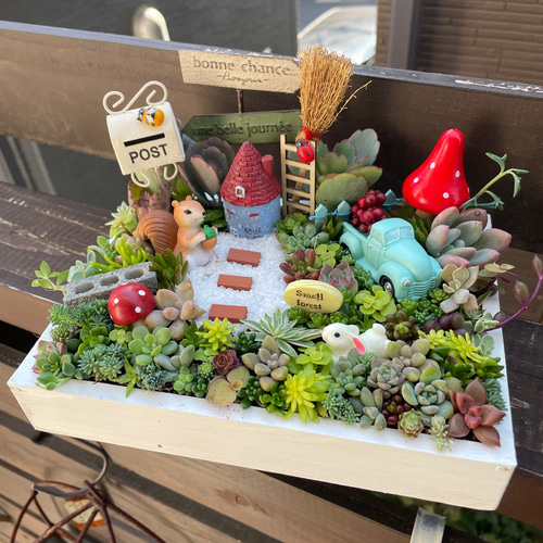 受注制作 うさぎりす箱庭風多肉植物寄せ植え 多肉植物 まぁちゃん 通販