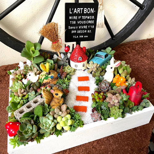 受注制作 うさぎりす箱庭風多肉植物寄せ植え 多肉植物 まぁ