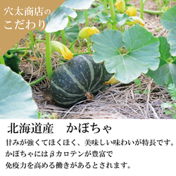 【北海道かぼちゃ】無添加 北のプリン ゴールド＆ホワイト＊6個入＊【作品紹介文をご確認ください。】 3枚目の画像