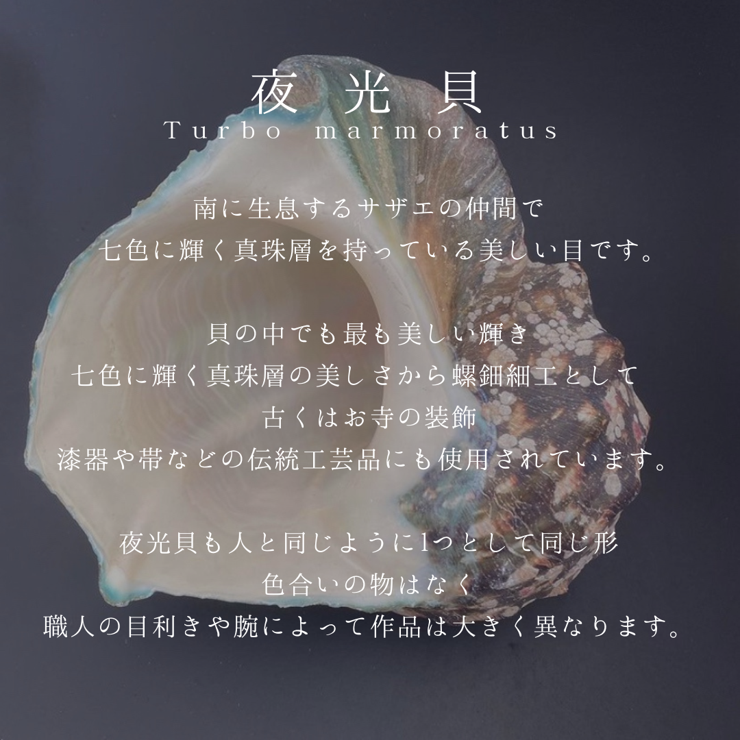 夜光貝 幸せの海亀 《mini size》ネックレス