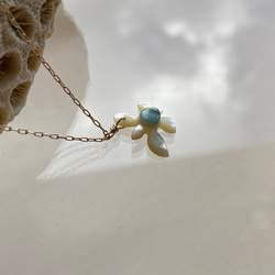 夜光貝 幸せの海亀 《mini size》14kgfネックレス 3枚目の画像