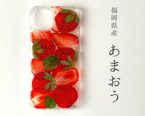 新品　ファミリア　超人気　スマホケース　iPhone15 イチゴ　赤　限定 aed85f7edd4993f656e8a384701205