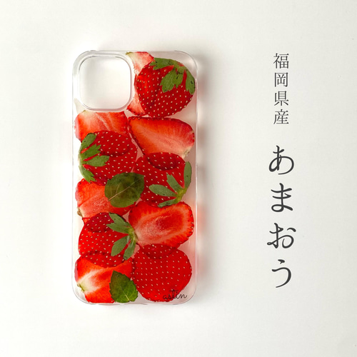 56i.【こだわり産地】色んないちご の iPhoneケース iPhoneケース 
