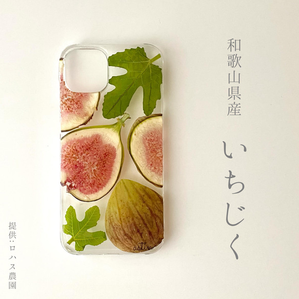 55i.【こだわり産地】和歌山産いちじく の iPhoneケース 1枚目の画像