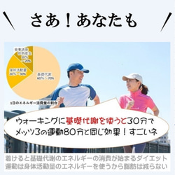 自律神経 体温調節 中性脂肪を落とす ダイエット 背中冷却 褐色脂肪細胞 活性化 健康グッズ「背中クールタイ」 10枚目の画像