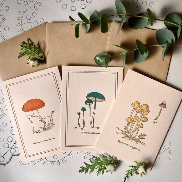 【小森林蘑菇3件組/聖誕規格】3張卡片+3個信封/凸版印刷 第3張的照片