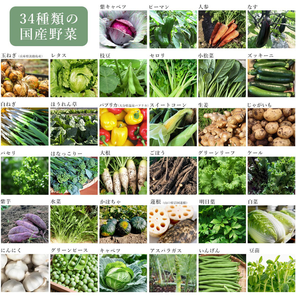 野菜34種＆米こうじ入り　スープ5種5個ギフトセット M30MA5P[3000] 4枚目の画像