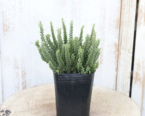 b3c5d7db3a79b16b5b210fe1270459