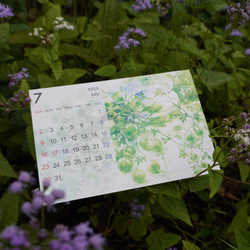 2023年 透明水彩フラワー卓上カレンダー（ケースなしエコタイプ） 2枚目の画像