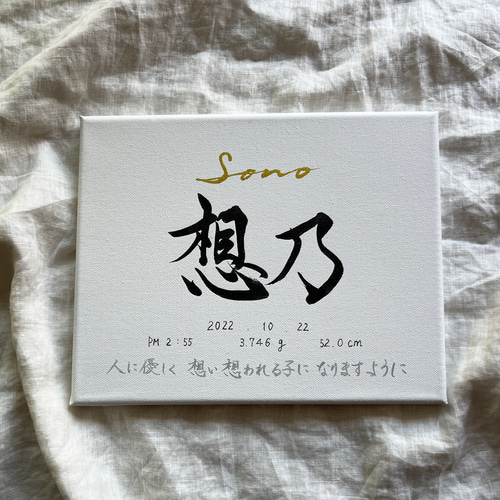 書っぷkasui】由来入り命名書「この名を君に」A4額付Ver. 送料