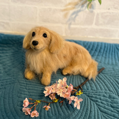 羊毛フェルト　ミニチュアダックス　ハンドメイド 羊毛フェルト ミニチュアダックスフンド クリーム 犬