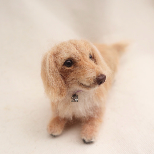 羊毛フェルト　ミニチュアダックス　おすわりBIGサイズ 羊毛フェルト ミニチュアダックス ダックスフンド 犬 - メルカリ