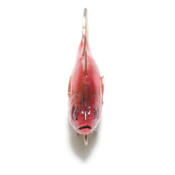 魚全身アクセサリー/ホールフィッシュストラップ（アカムツ） 7枚目の画像