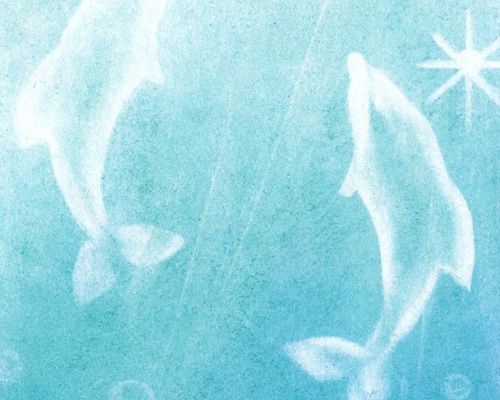 f747dd8a1796bf739796254c16710e