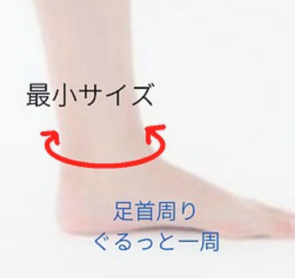  第11張的照片