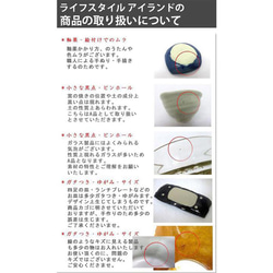 パスタ皿 カレー皿 22cm フルート 3color 日本製 /r106 13枚目の画像
