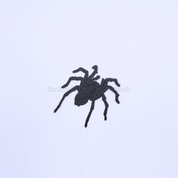 タランチュラ大　刺繍ワッペン　蜘蛛　昆虫　虫 5枚目の画像