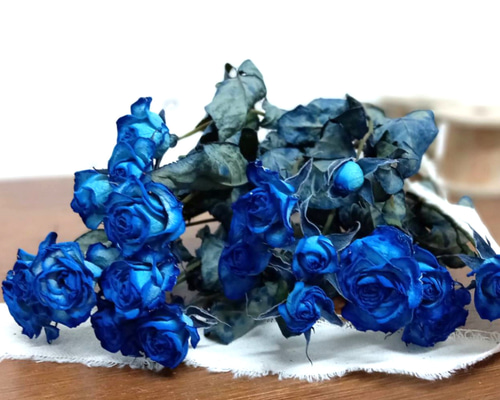 1128abeaf1b22c60a8a7ca888afc38