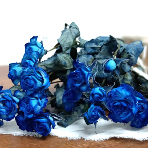 ドライフラワー スプレーバラ 染めロイヤルブルー その他素材 Rose