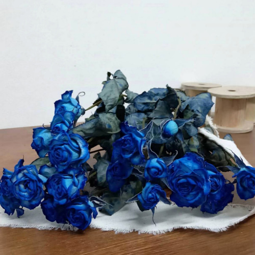 ドライフラワー スプレーバラ 染めロイヤルブルー その他素材 Rose