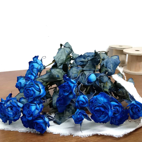 ドライフラワー スプレーバラ 染めロイヤルブルー その他素材 Rose