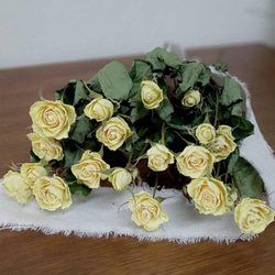 ドライフラワー スタンダードバラ ダークレッド サムライ7本set その他