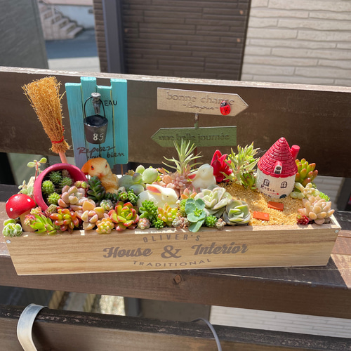 プレゼントにも〜受注制作 うさぎ箱庭風多肉植物寄せ植え その他