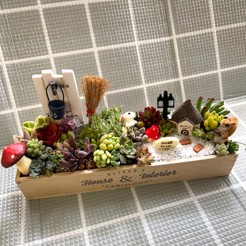 プレゼントにも〜受注制作 うさぎ箱庭風多肉植物寄せ植え その他
