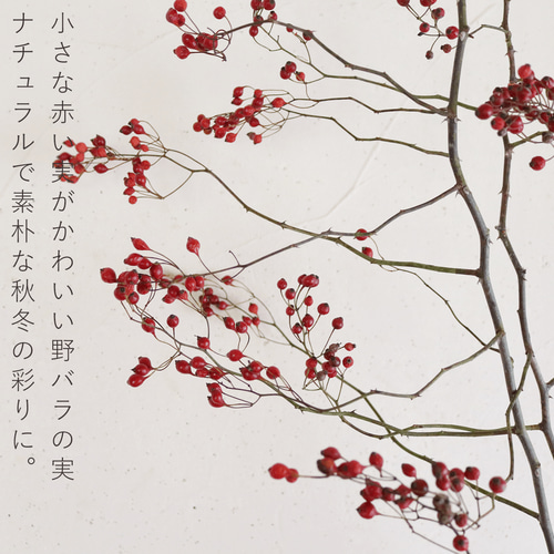 大枝 赤い実 長さ約60cm〜80cm】 野バラの実 ◇ドライフラワー 秋冬