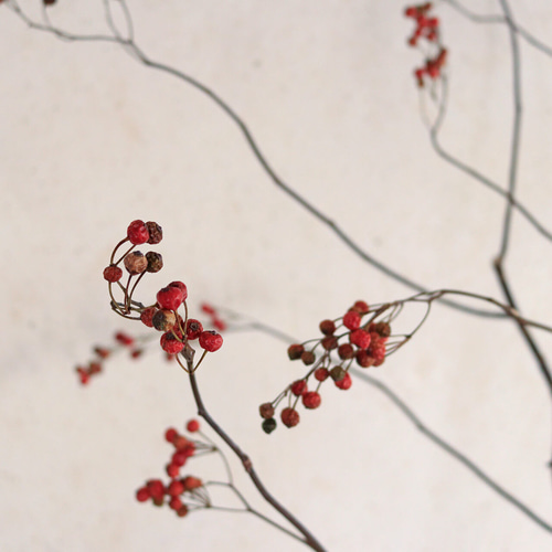 赤い実のドライフラワー枝物 約100cm2本　短かめ3本 赤い実のドライフラワー枝物 約100cm2本 短かめ3本 赤い実のドライ