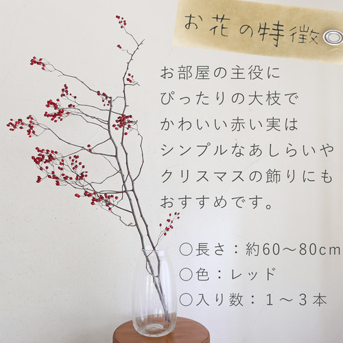 大枝 赤い実 長さ約60cm〜80cm】 野バラの実 ◇ドライフラワー 秋冬