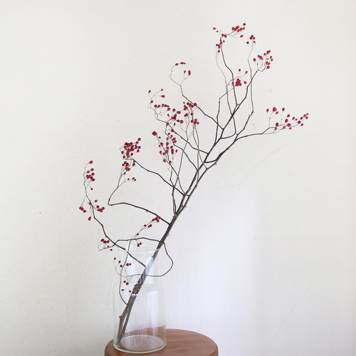 大枝 赤い実 長さ約60cm〜80cm】 野バラの実 ◇ドライフラワー 秋冬