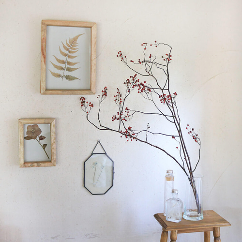 大枝 赤い実 長さ約60cm〜80cm】 野バラの実 ◇ドライフラワー 秋冬