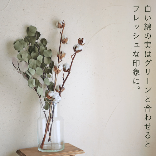 ドライフラワー 】 綿の実枝つき ホワイト / コットンフラワー リース