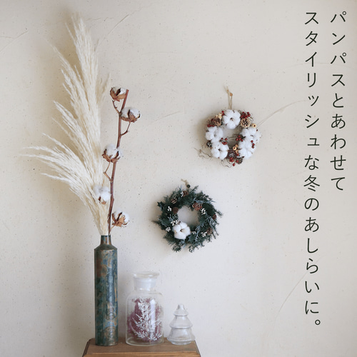 ドライフラワー 】 綿の実枝つき ホワイト / コットンフラワー リース