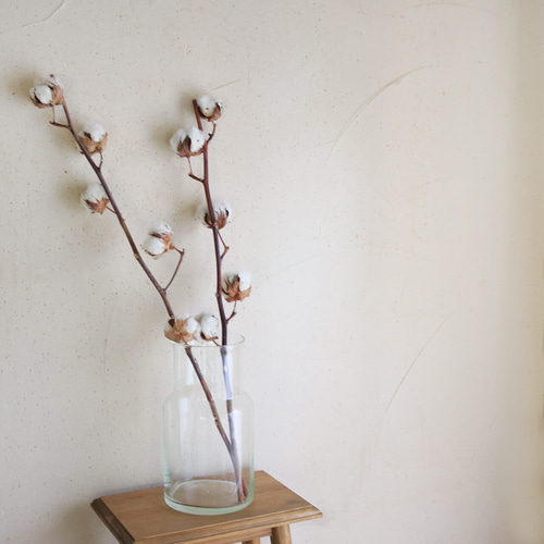 ドライフラワー 】 綿の実枝つき ホワイト / コットンフラワー リース